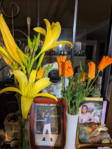 Computer Payroll Service