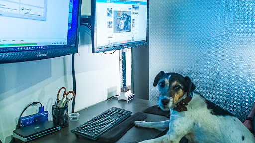 STG IT Consulting Group & IT Support Los Angeles