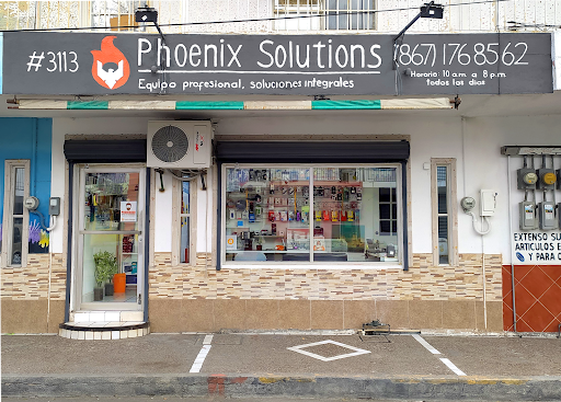 Phoenix Solutions MX.