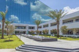 neoRhino IT Solutions