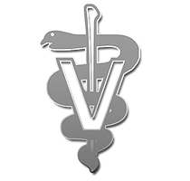 Codec Office Solutions