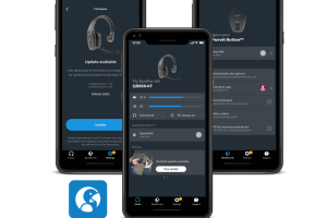 Blue Parrot Software